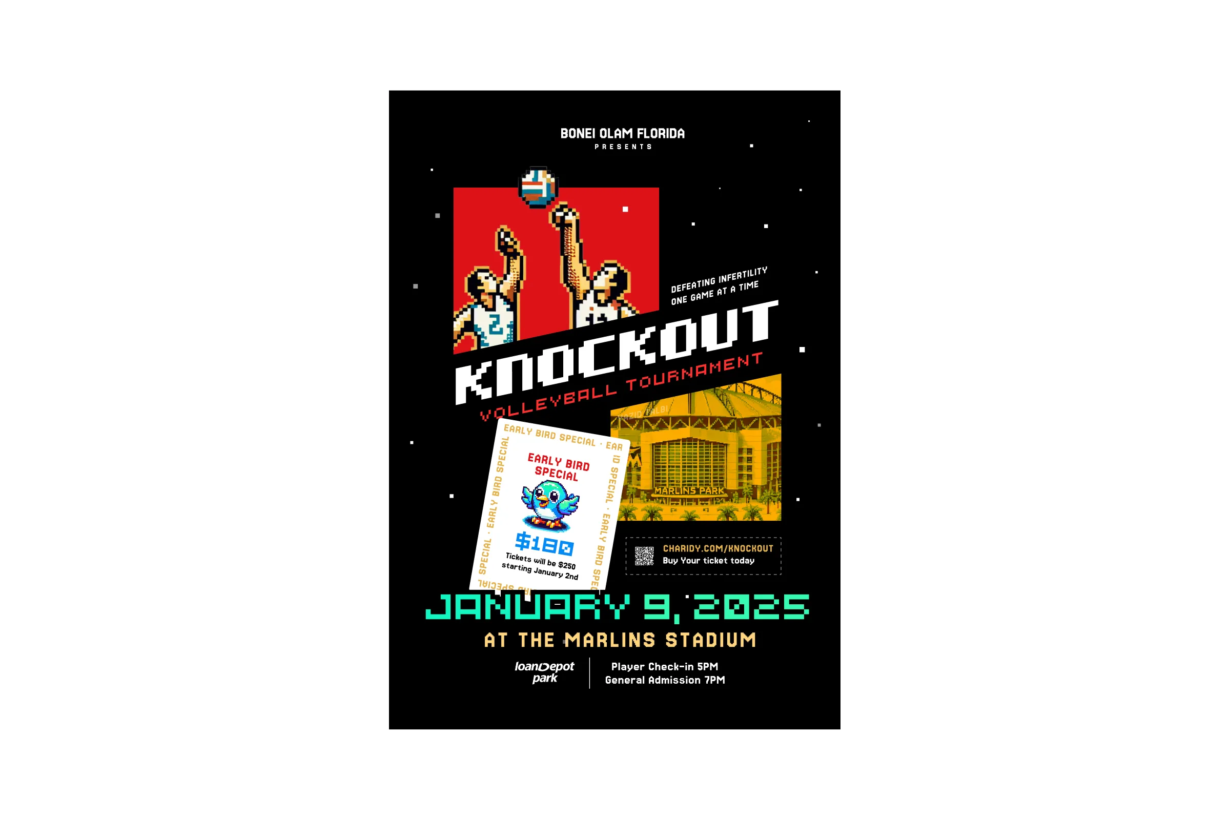 Knockout project detail 2
