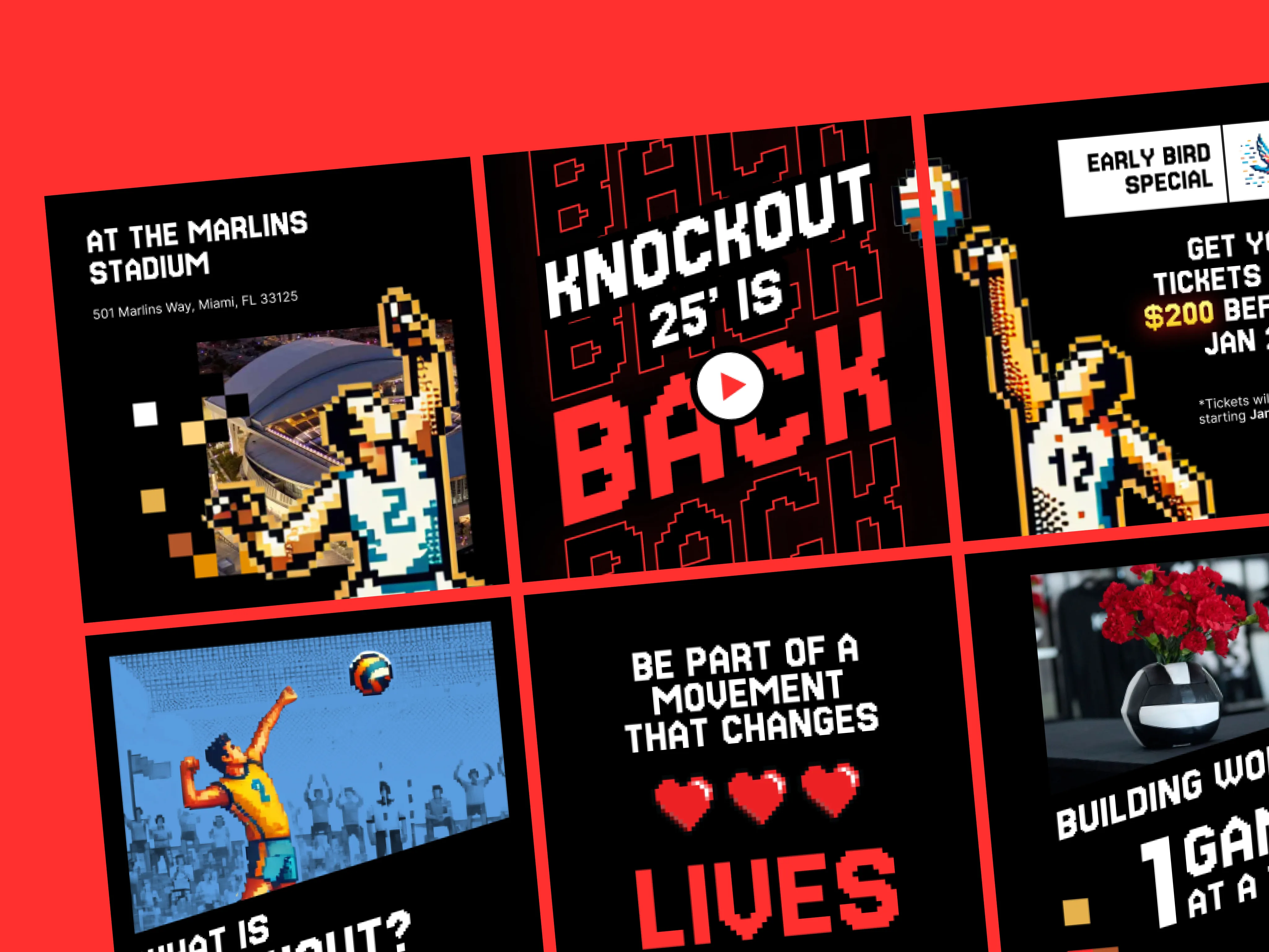 Knockout project detail 4