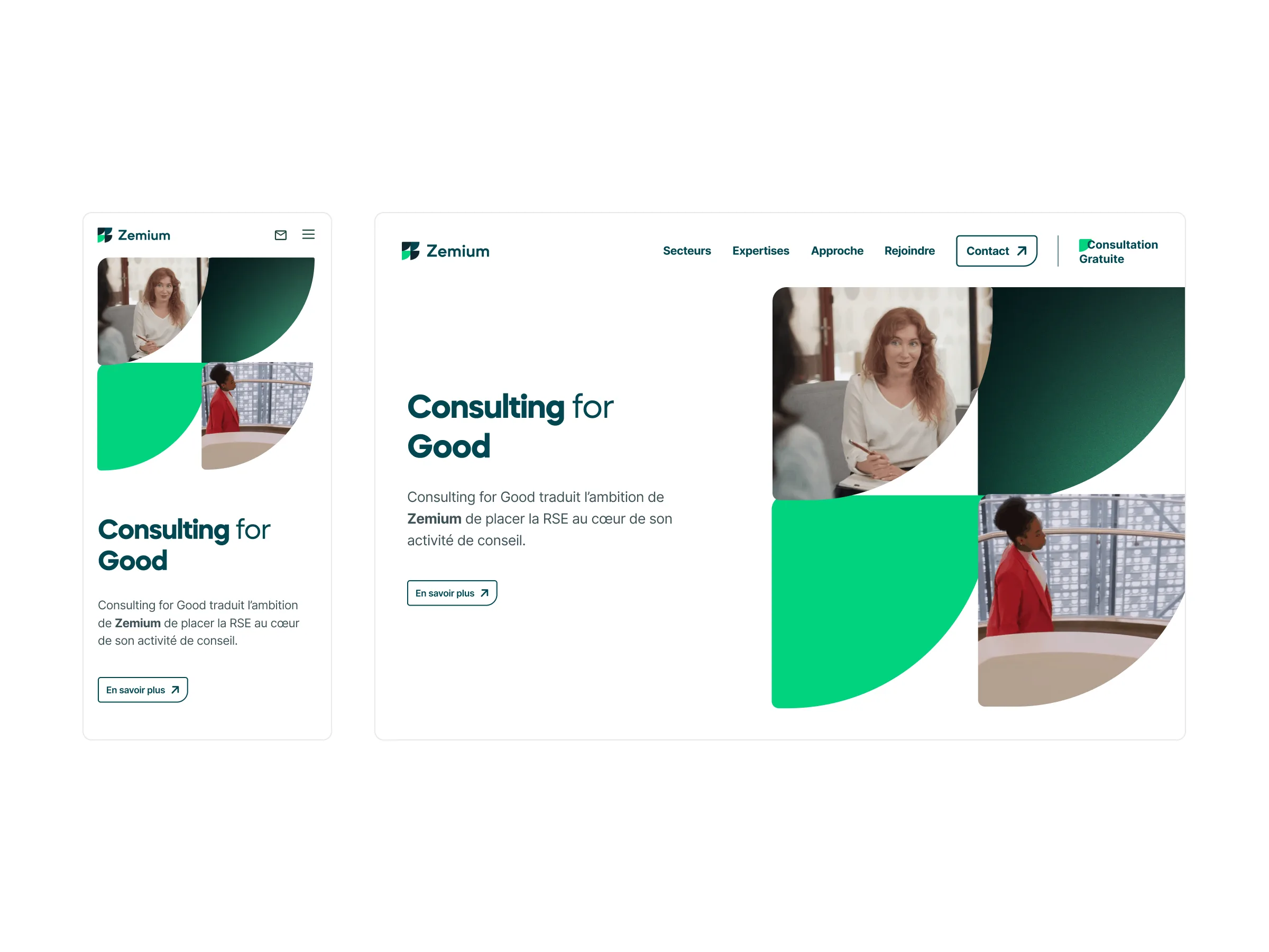 Zemium project detail 2